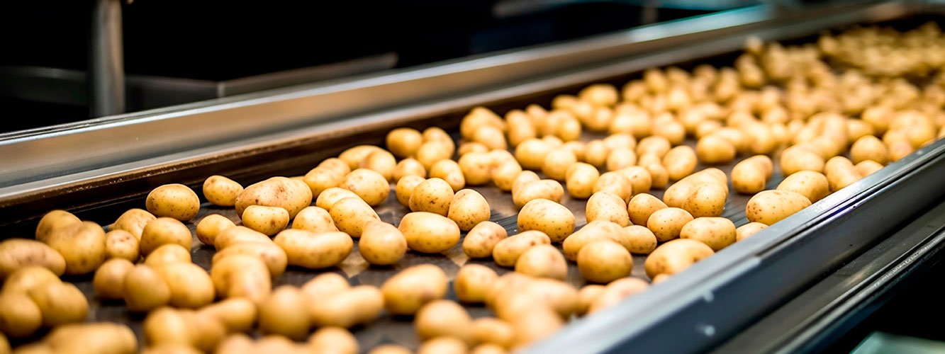 BANDAS Y ELEVEADORES